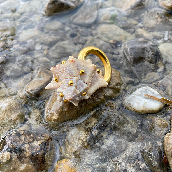Anna Karsch – wearable art piece, shells and gold ring on stones in water